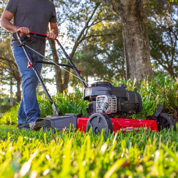 f9074330d25c4300b7cb8e02008b95a8 20-Inch 125Cc Gas Push Mower with Briggs & Stratton Engine