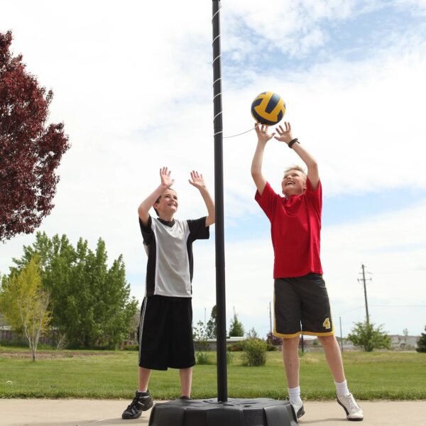 Lifetime Portable 96 inch Tetherball System (90029)
