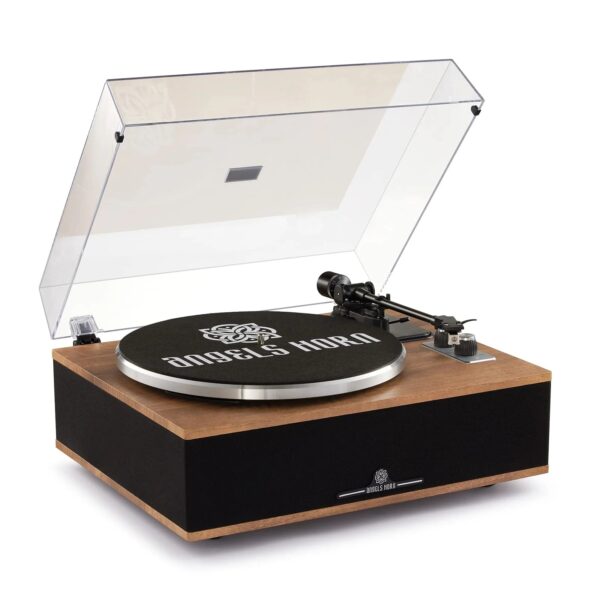 ffbc89f60f784c01a304bec2b1caf943 ANGELS HORN Vinyl Record Player Built in Speakers